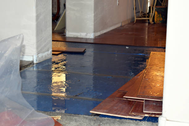 Professional Burst Pipe Cleanup technician working in Russell, KY